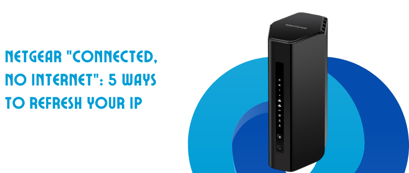 Netgear "Connected, No Internet"